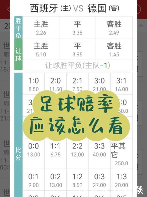 世界杯下注入口赔率与收益分析指南 世界杯下注入口赔率与收益分析指南